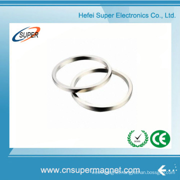 Hottest Sale Permanent Rare Earth Ring Magnet